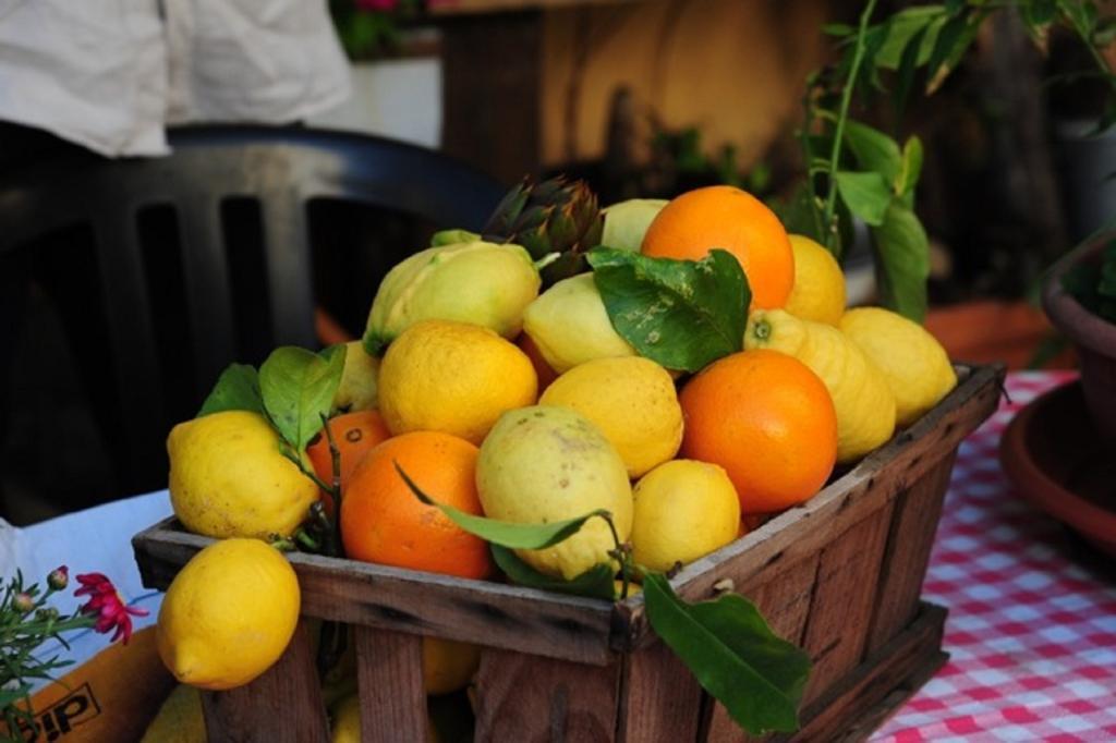 Agriturismo Del Pigato - Bio Vio アルベンガ 部屋 写真