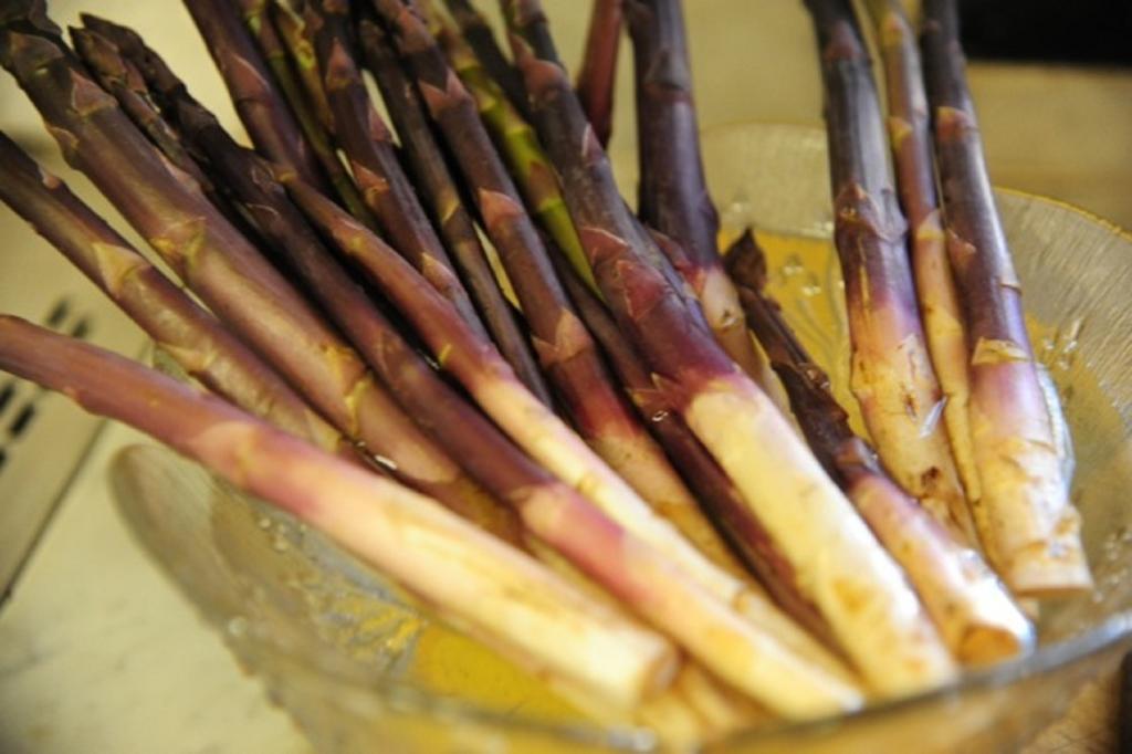 Agriturismo Del Pigato - Bio Vio アルベンガ エクステリア 写真