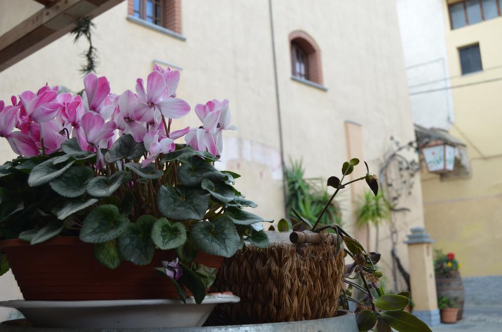 Agriturismo Del Pigato - Bio Vio アルベンガ エクステリア 写真