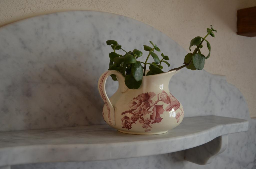 Agriturismo Del Pigato - Bio Vio アルベンガ エクステリア 写真